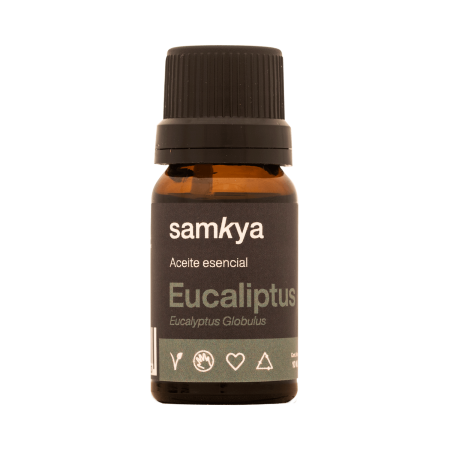 ae-eucaliptus