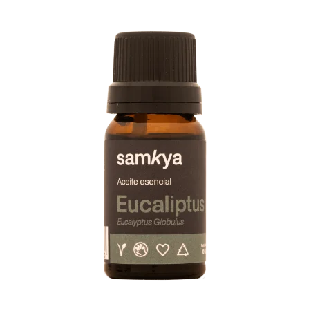 ae-eucaliptus
